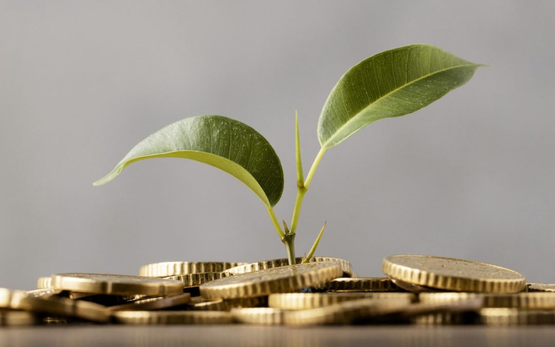 Lorem ipsum dolor sit amet ENG 5