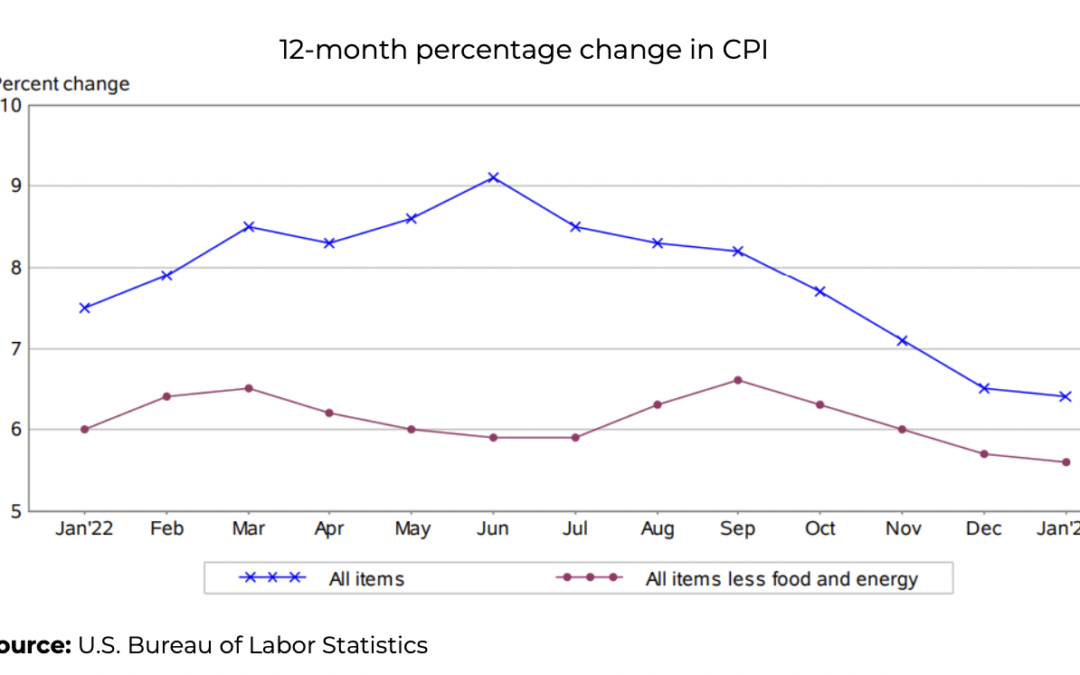 Annual inflation slows slightly during January